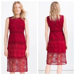 ZARA Contrast Embroidered Midi Lace Crochet Dress
